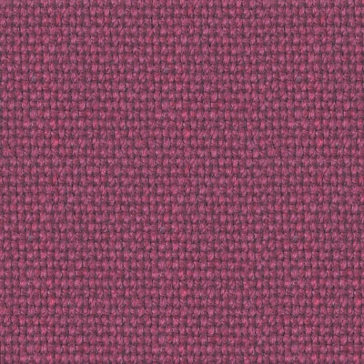 Raspberry