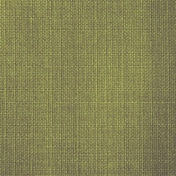 Fern Green