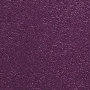 Aubergine