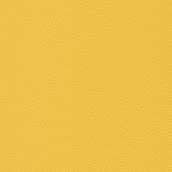 Paint Pot Yellow