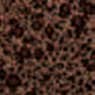 Black/Bronze Hammer