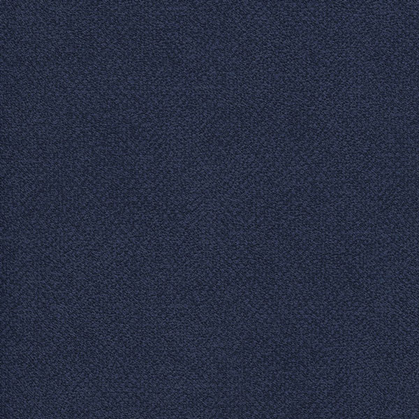 Aquarius Navy