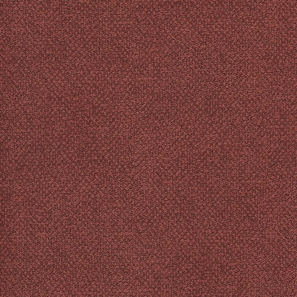 Aquarius Terracotta
